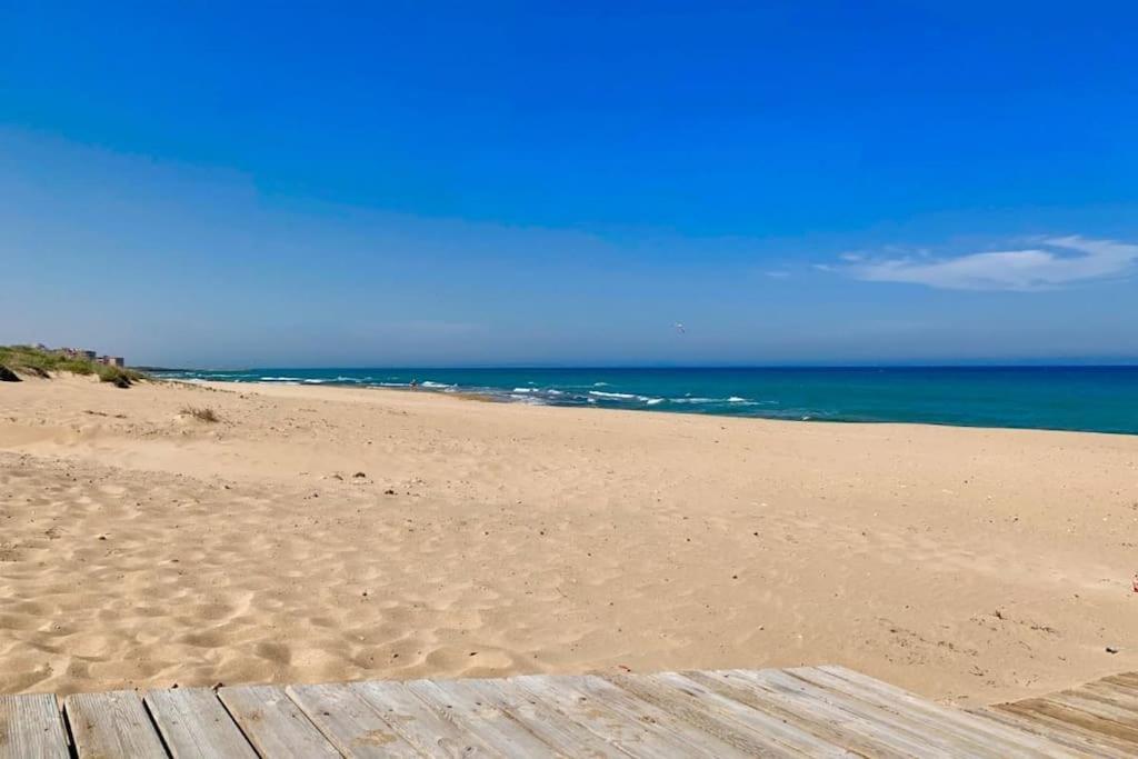 Azul Beach By La Mata Beach ตอร์เรเวียคา ภายนอก รูปภาพ